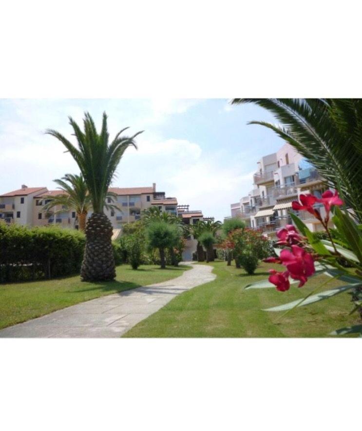 Rez De Jardin + Terrasse Piscine Et Acces Direct Plage Appartement Saint-Cyprien  Buitenkant foto